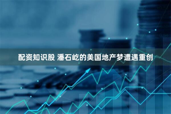 配资知识股 潘石屹的美国地产梦遭遇重创