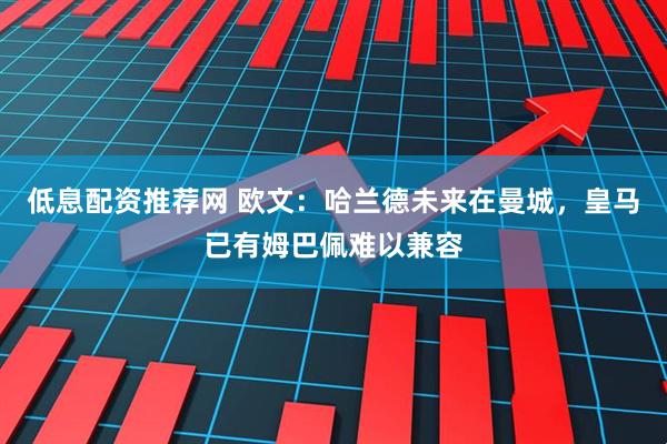 低息配资推荐网 欧文：哈兰德未来在曼城，皇马已有姆巴佩难以兼容